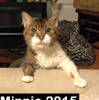 Minnie. 2015
